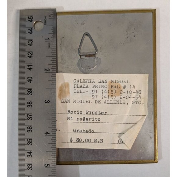 Rocio Pindter Mi Pajarito Limited Edition Print Framed 'My little bird' - Picture 7 of 14